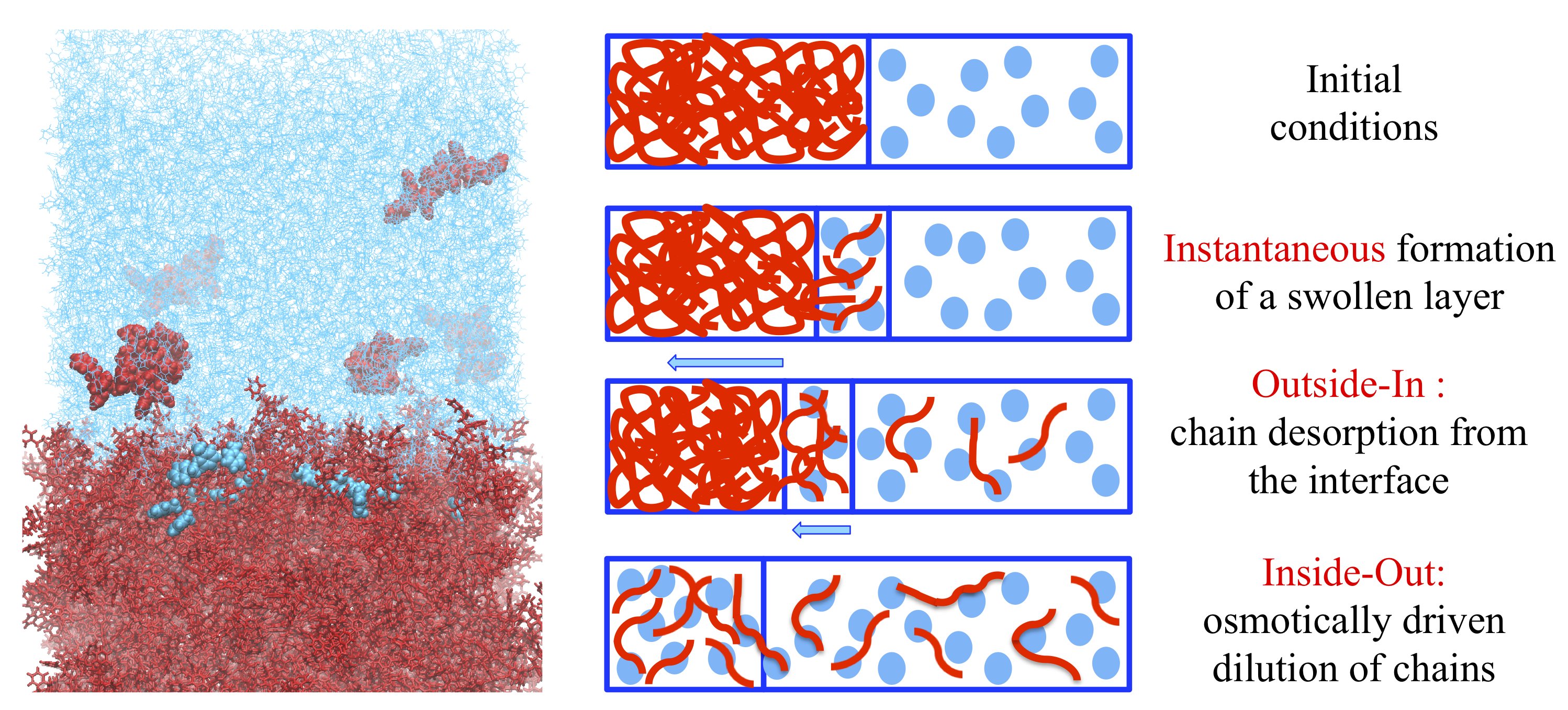 LowMolecularWeight Polystyrene HKHLR HPC Hessen